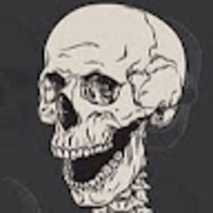 Meet your Posher, Parastratiosphecomyia stratio